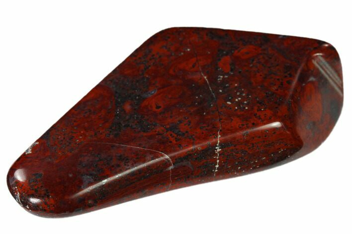 Polished Stromatolite (Collenia) - Minnesota #136921